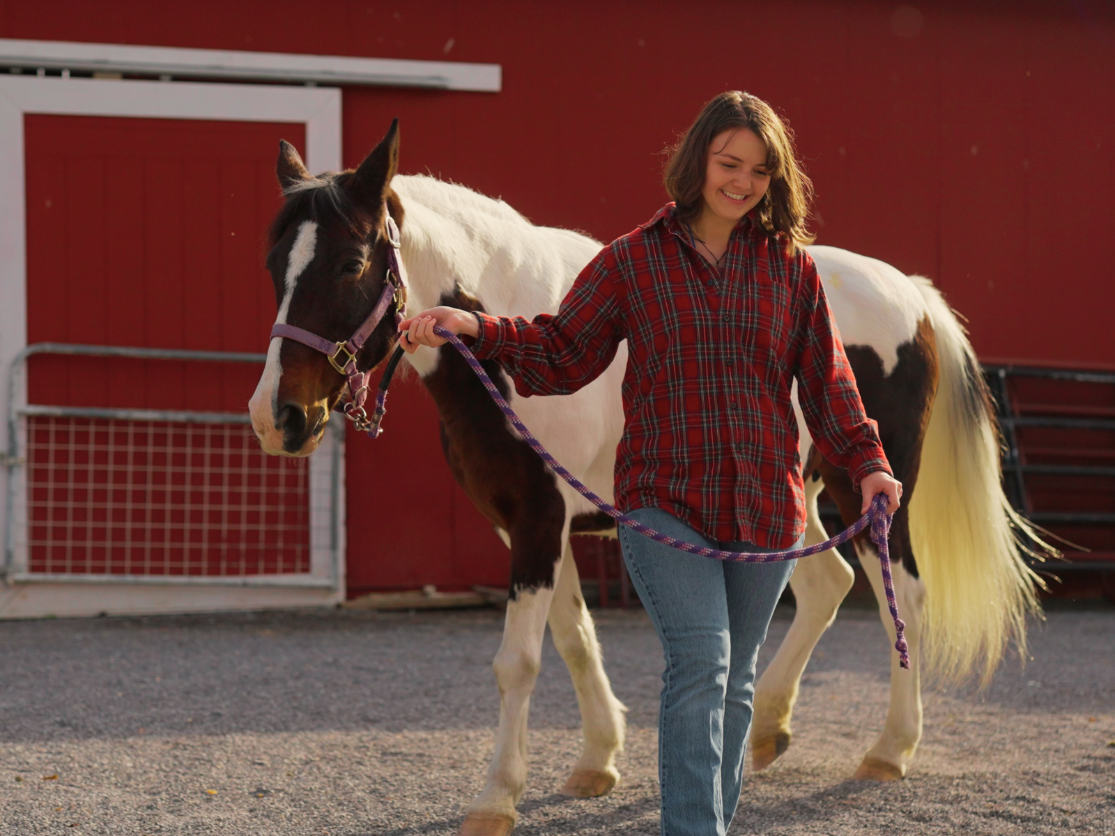 Odyssey Behavioral Healthcare - Facility Teams - The Stables - client with horse
